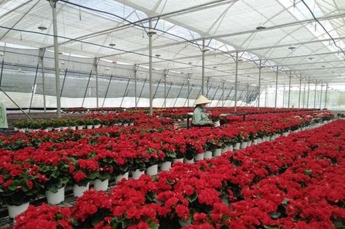 Giải bài toán liên kết giữa HTX và doanh nghiệp