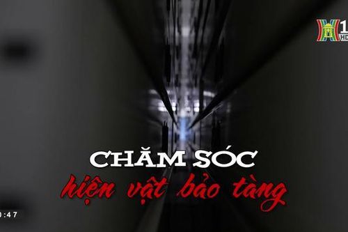 Chăm sóc hiện vật bảo tàng (Nhịp sống Hà Nội ngày 15/05/2023)