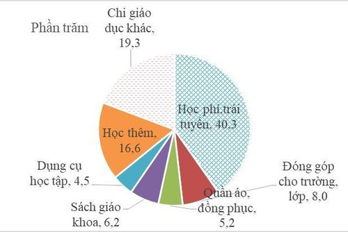Chi phí học phí, trái tuyến chiếm 40,3% tổng chi phí dành cho giáo dục