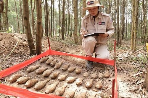 Quảng Trị: Phát hiện, hủy nổ an toàn 29 quả đạn cối