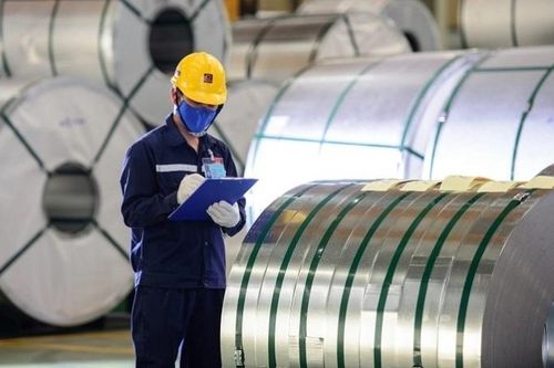 SSI dự báo lợi nhuận Hoa Sen giảm 84% năm nay