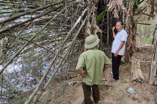 Sạt lở gia tăng, nhiều diện tích đất sản xuất bị sông 'nuốt chửng'
