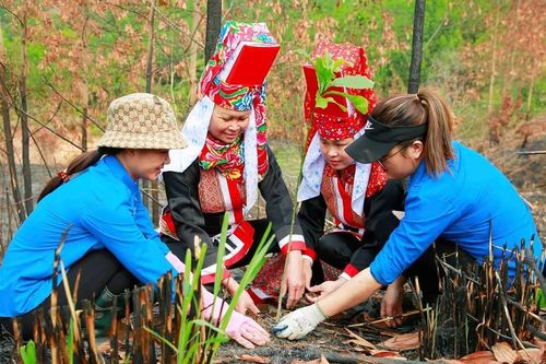 Yên Than giảm nghèo bền vững từ chuẩn nông thôn mới kiểu mẫu