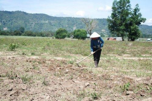 Đối tượng được hỗ trợ khi nhà nước thu hồi đất nông nghiệp