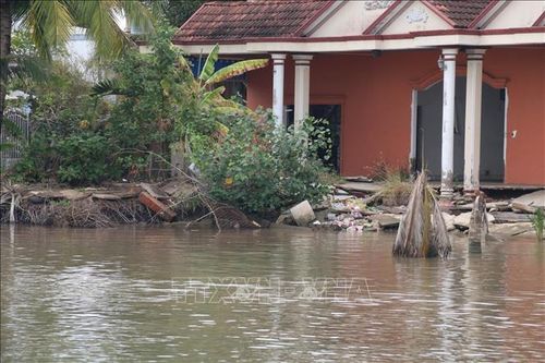 Tiền Giang: Huy động nguồn lực xử lý, khắc phục các điểm sạt lở
