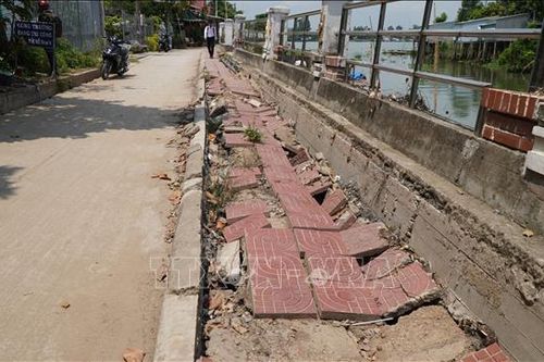 Đoạn kè bất ổn ở Đồng Tháp