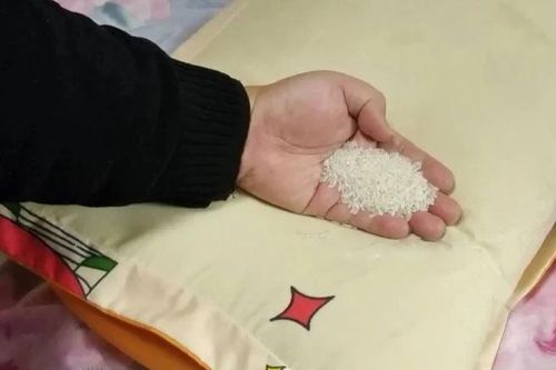 Đặt nắm gạo dưới gối: Mẹo nhỏ mang đến lợi ích tuyệt vời, giải quyết phiền muộn của cả nam và nữ