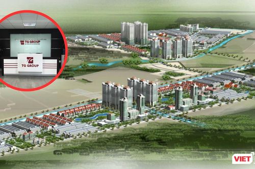 'Bóng' TG Group ở Revital Việt Nam