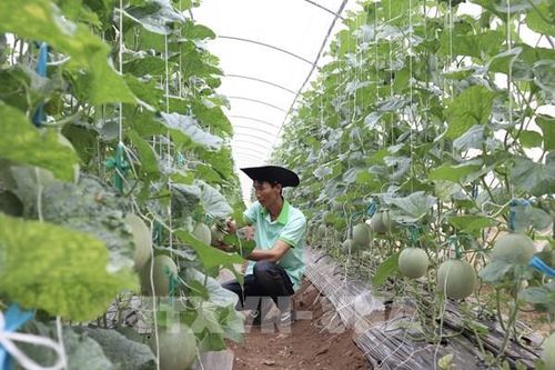 Số hóa cơ sở dữ liệu chuyên ngành nông nghiệp