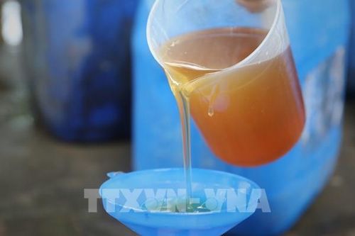 Nhận biết mật ong thật và giả như thế nào?
