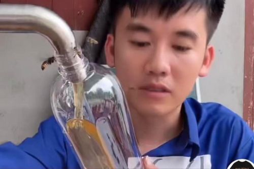 Hàng loạt video bán mật ong của con trai bà Tân Vlog 'bay màu': Thông tin bất ngờ từ chính quyền