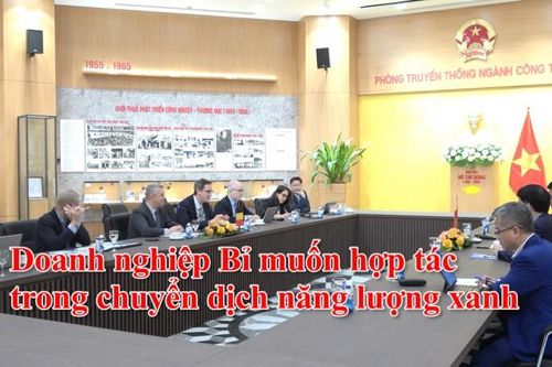 Doanh nghiệp Bỉ muốn hợp tác trong chuyển dịch năng lượng xanh