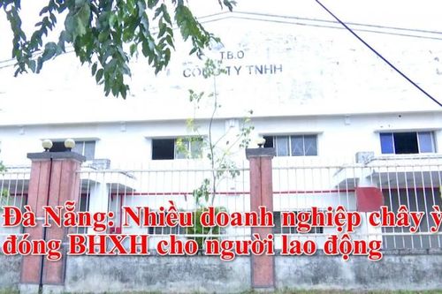 Đà Nẵng: Nhiều doanh nghiệp chây ỳ đóng bảo hiểm xã hội cho người lao động