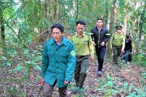 Giữ rừng ngay tại cơ sở