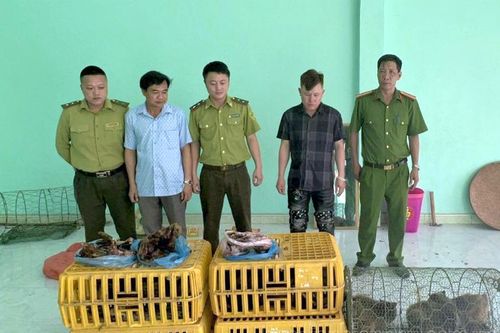 Phát hiện, thu giữ 27 cá thể động vật rừng bị nuôi nhốt trái phép