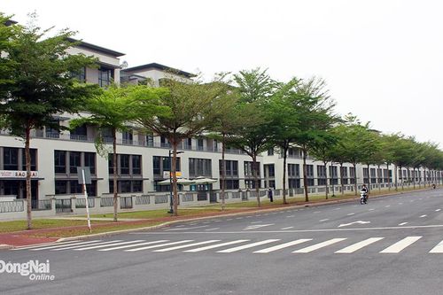 Mạnh tay với các dự án chậm triển khai