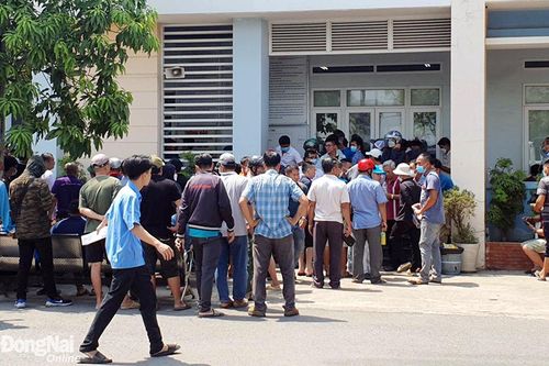 Doanh nghiệp 'nghẽn' sản xuất, kinh doanh vì xe chờ đăng kiểm