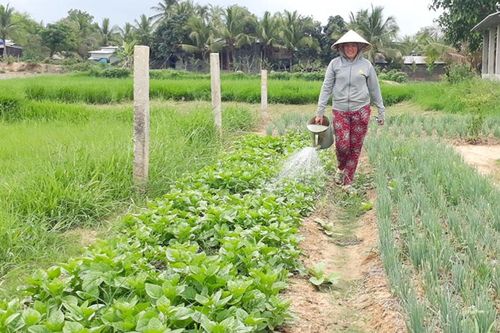Nhiều hoạt động đồng hành, hỗ trợ hội viên, phụ nữ vùng biên giới