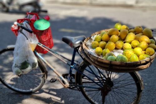 Tháng Năm mùa xoài