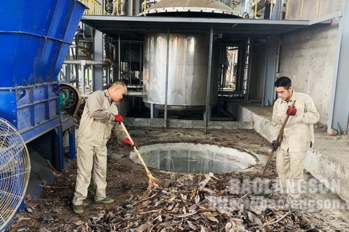Nhà máy chế biến tinh dầu quế Tràng Định: Góp phần nâng cao giá trị cây quế