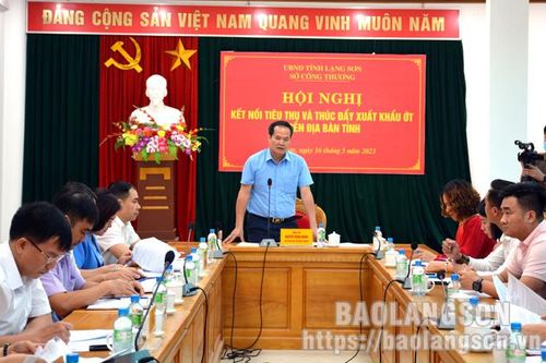 Liên kết tiêu thụ và thúc đẩy xuất khẩu ớt trên địa bàn