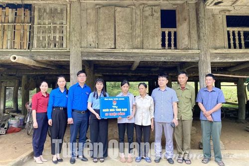 Hỗ trợ xây dựng Ngôi nhà khăn quàng đỏ và Ngôi nhà tình bạn