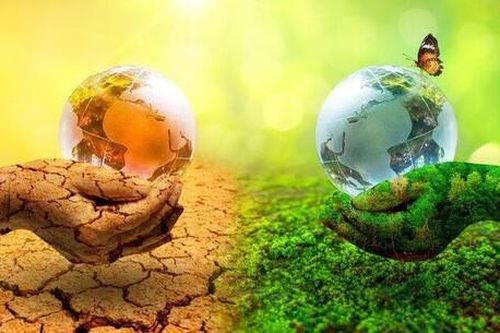 Ngày Môi trường Thế giới 2009: Liên kết để chống lại biến đổi khí hậu