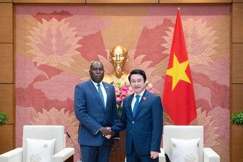 Phó Chủ nhiệm Ủy ban Đối ngoại Lê Anh Tuấn tiếp Đại sứ Cộng hòa Bờ Biển Ngà