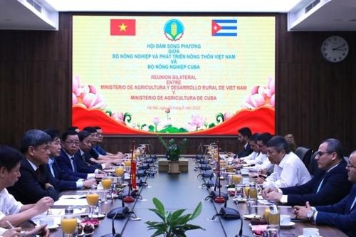 Cuba muốn thu hút các doanh nghiệp Việt Nam sang đầu tư lúa gạo
