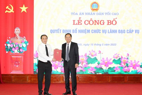 Bổ nhiệm Phó Vụ trưởng Vụ Giám đốc kiểm tra II TANDTC