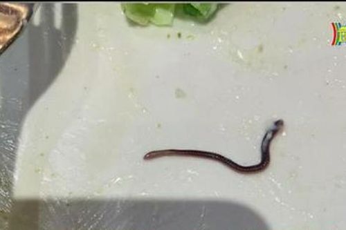 Thấy gì qua vụ có giun trong đĩa salad tại nhà hàng