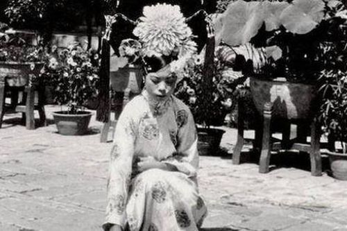 Loạt ảnh hiếm cuối Thanh triều: Hé lộ cuộc sống khác biệt trong Tử Cấm Thành, hình về hoàng đế Phổ Nghi mới thực sự hiếm có khó tìm