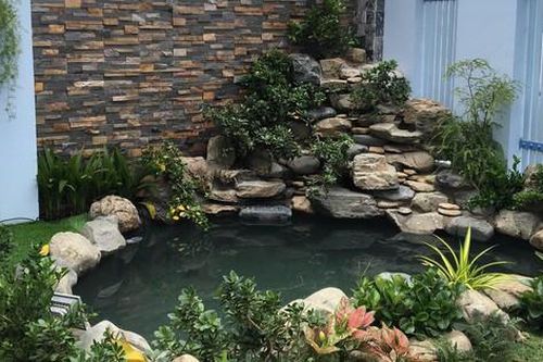 Quá bất ngờ vì hòn non bộ có thể câu tài lộc về nhà nhưng ít người biết