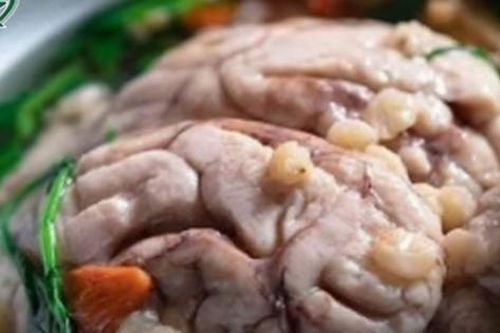 Ăn óc động vật có tốt không?