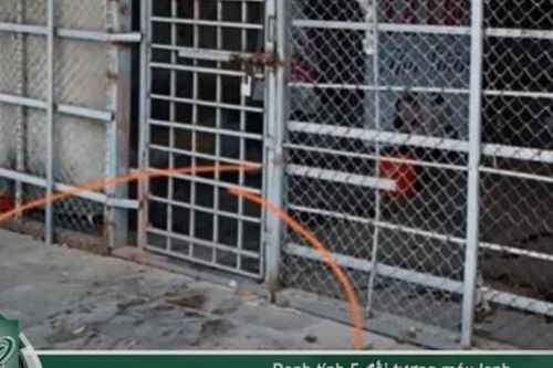 Tối 16/5: Tiết lộ lý do 5 người đàn ông cùng trả thù và sát hại nữ nhân viên tẩm quất