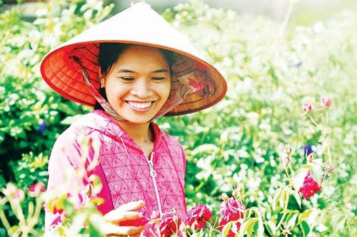 Khởi nghiệp từ hương thảo