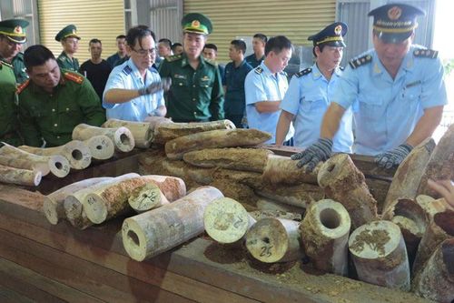 Nâng cao nhận thức về nguy cơ và rủi ro tài chính từ buôn bán động vật hoang dã