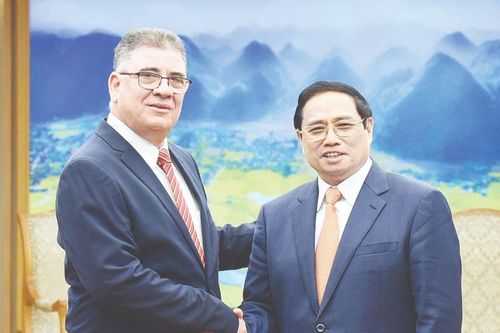 Việt Nam luôn ủng hộ Cuba trên mọi lĩnh vực
