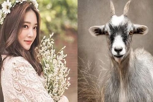Tháng 4 âm: Bốn con giáp hút cạn vận may, giàu sang tột đỉnh