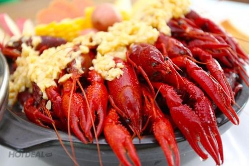 Tận mục tôm hùm đất 'tàn phá' hơn ốc bươu vàng
