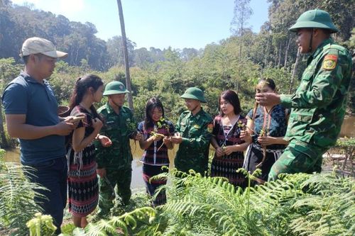 Phát huy hiệu quả các dự án khu vực đồng bào dân tộc thiểu số và miền núi tỉnh Quảng Nam