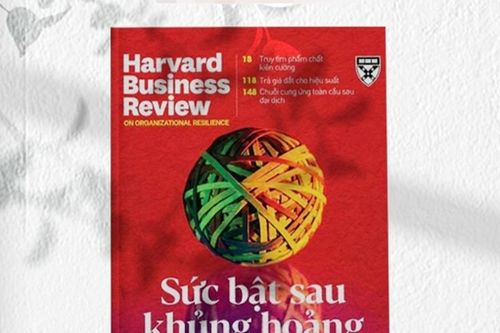 Sức bật sau khủng hoảng