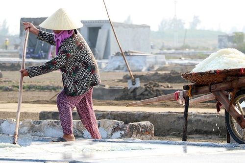 Nghịch cảnh trời nắng thiêu đốt, diêm dân càng đổ ra đồng làm muối
