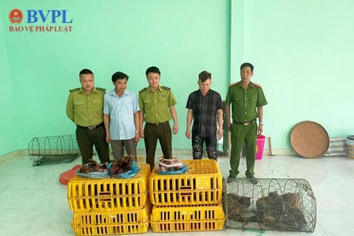 Phát hiện đối tượng ở Mường Nhé 'giam cầm' 27 cá thể động vật hoang dã