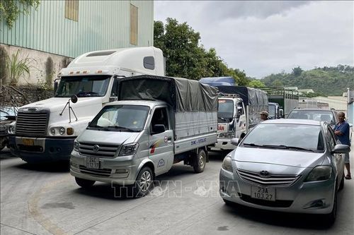 Lào Cai: Xe ngoại tỉnh xếp hàng dài ở trung tâm đăng kiểm