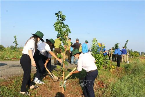 Bạc Liêu phát động trồng cây nhân kỷ niệm Ngày sinh Chủ tịch Hồ Chí Minh