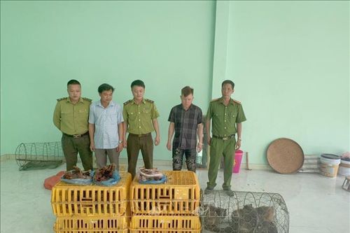 Thu giữ 27 cá thể động vật hoang dã không rõ nguồn gốc, xuất xứ