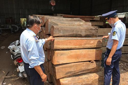 Tiền Giang: Một cơ sở bị phạt hơn 60 triệu đồng vì kinh doanh gỗ không hợp pháp