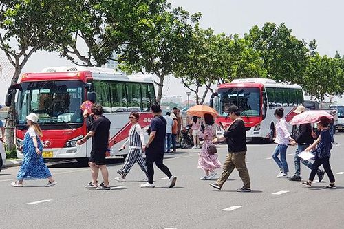 Doanh nghiệp vận chuyển du lịch Đà Nẵng xây dựng điểm đến an toàn, văn minh