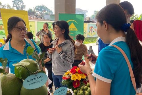 Tây Ninh: Đồng hành hỗ trợ phụ nữ, thanh niên khởi nghiệp